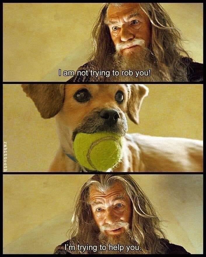 Gandalf’s Dog