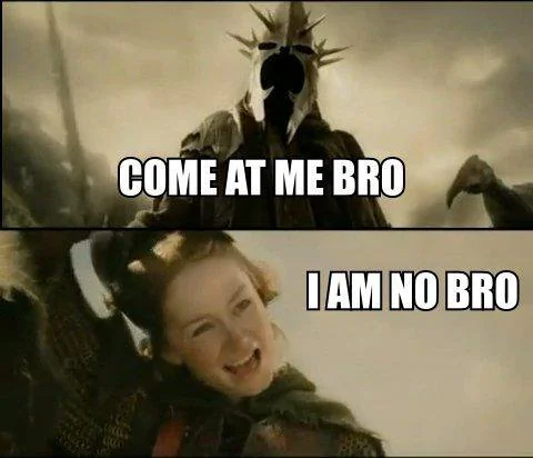 Non-bro Éowyn vs Witch-king of Angmar