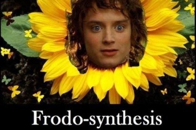 Frodo-synthesis